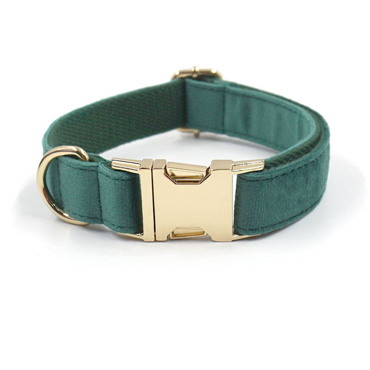DOG COLLARS - For every wagging adventure.