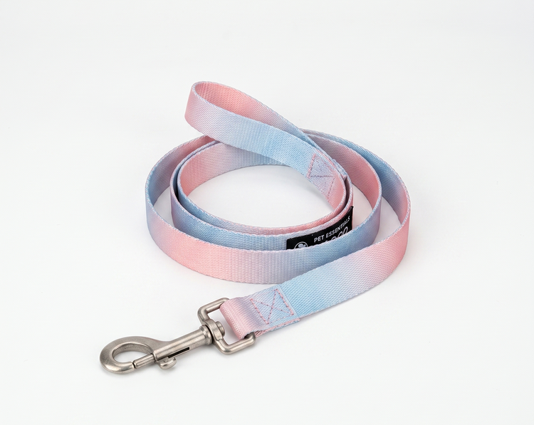 DOG LEASHES - Stay close, explore far.