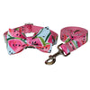 Collar + Bowknot + Leash / S