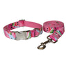 Collar + Leash / S