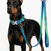 Green-Blue