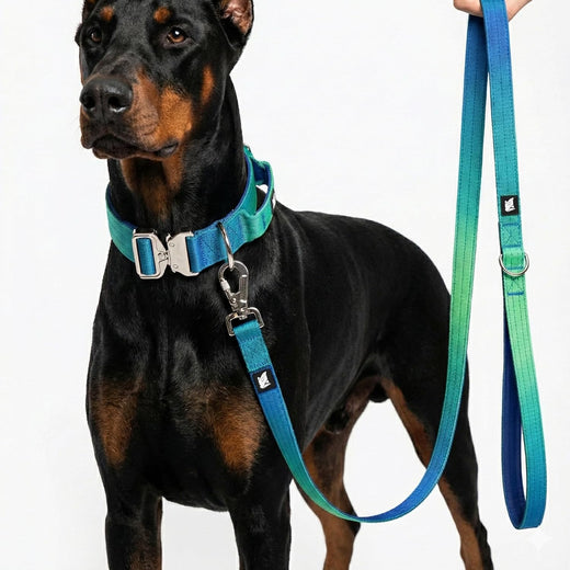Ocean Wave Tactical Dog Collar and Leash Set – Heavy Duty Nylon, Metal Buckle, Padded Handle, Gradient Color Design – Durable for Large Dogs, Training & Outdoor Walking (L Size)