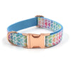 Pet collar / XS