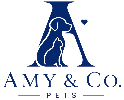 Amy & Co.