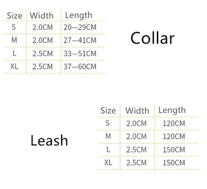Dog Collar & Leash Set – Nude