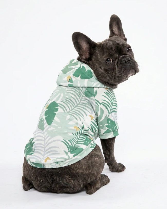 Dog Hoodie - Palm Leaf