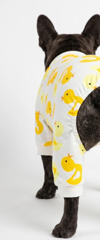 Dog Pajama - Different Variations