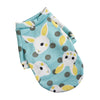 Blue rabbit / XS