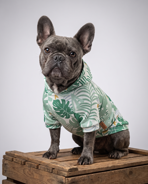 Dog Hoodie - Palm Leaf