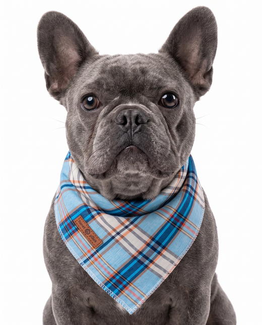 Blue Plaid Dog Bandana – Classic Pet Scarf