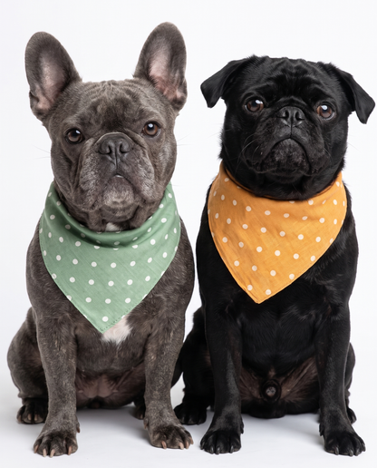 Dog Bandana Set - 5 Pack
