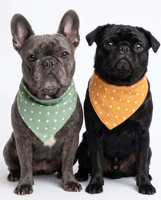 Dog Bandana Set - 5 Pack