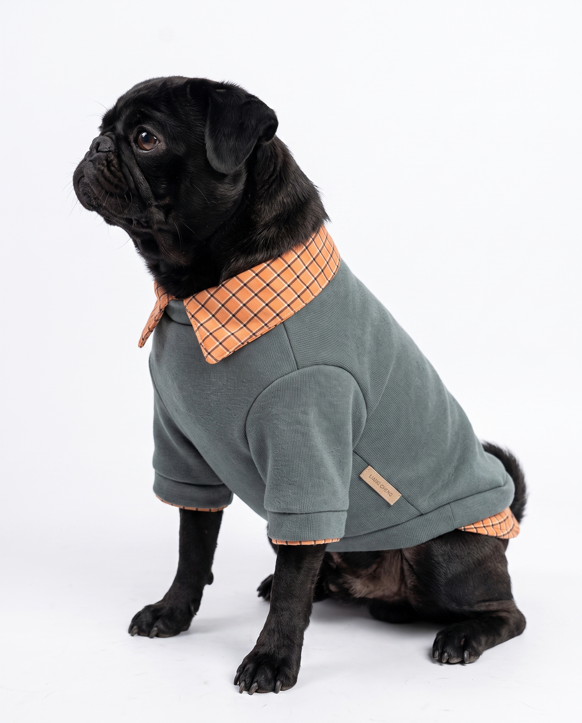 Two-Piece Dog Sweater