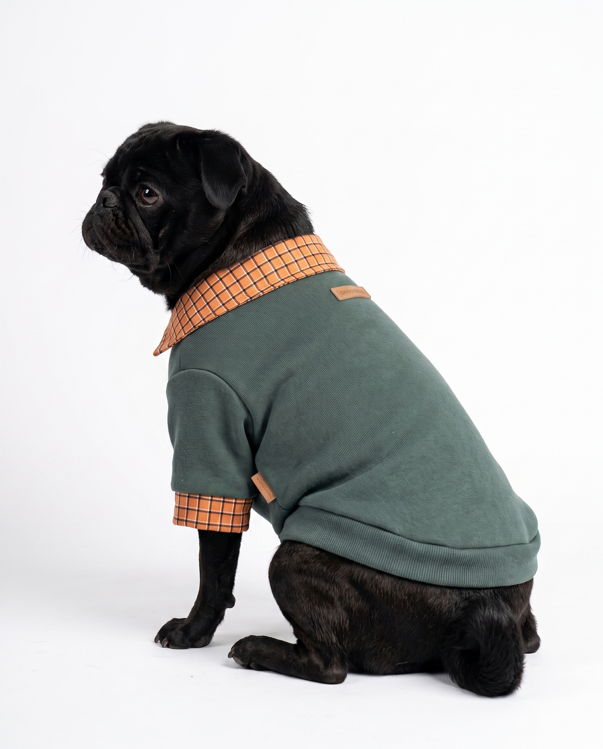 Two-Piece Dog Sweater