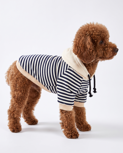 Dog Sweater Striped