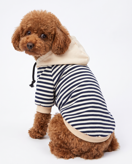 Dog Sweater Striped