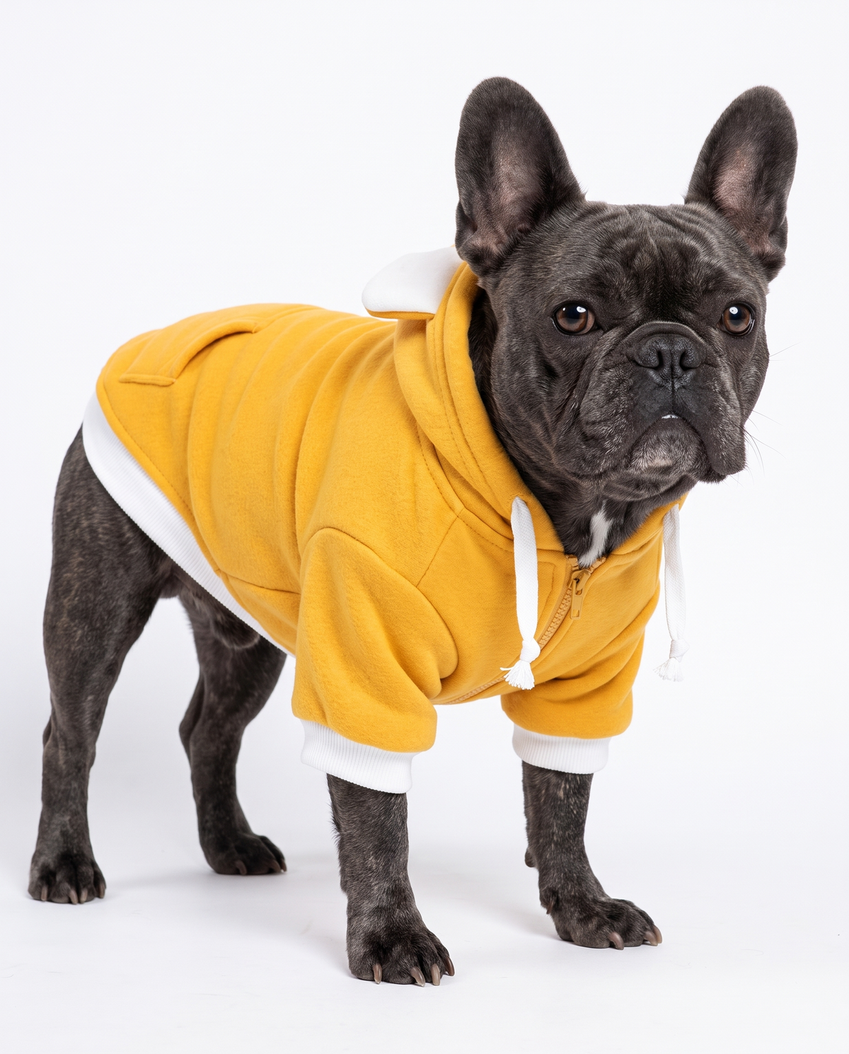 Warm Fleece Dog Sweater