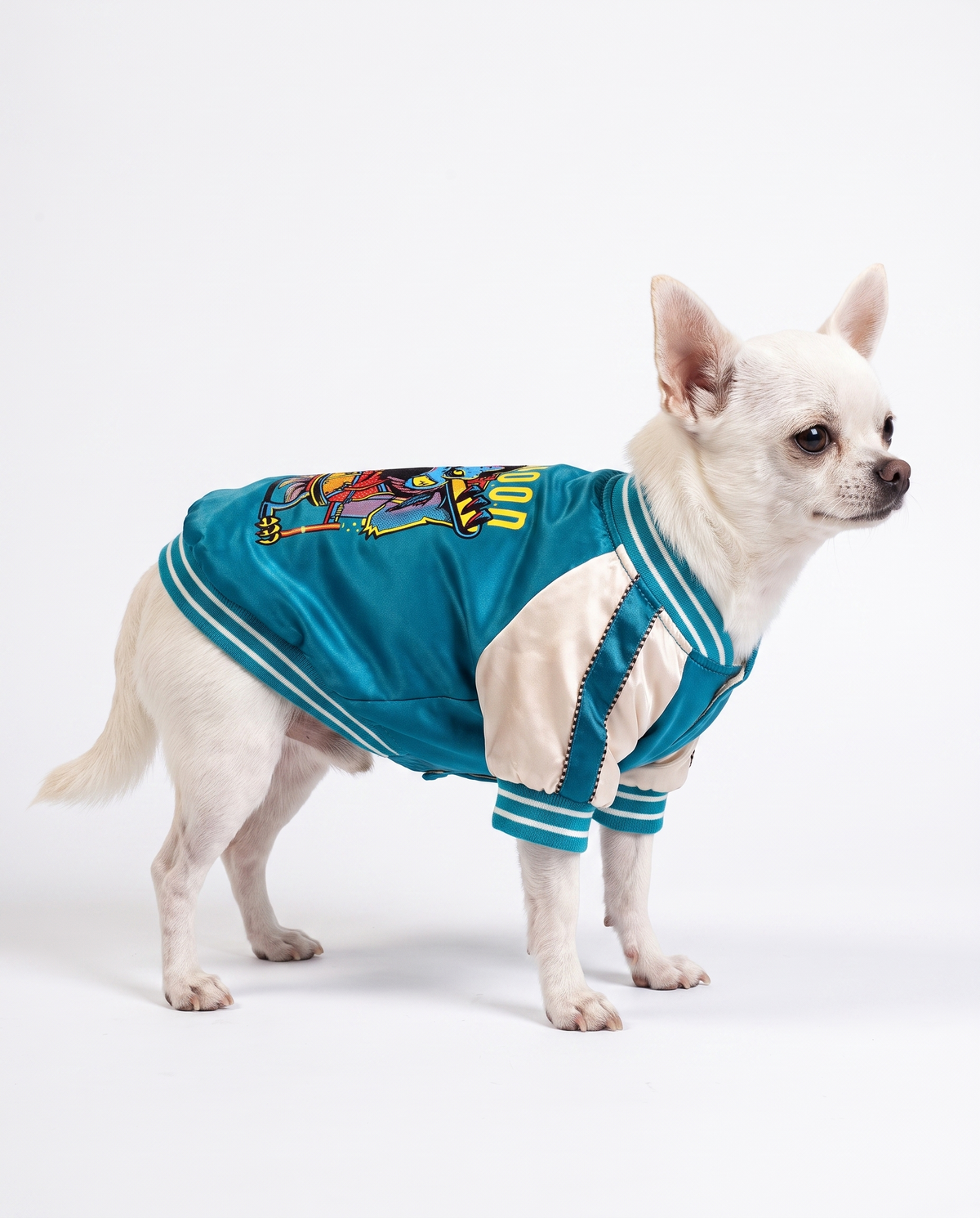 Shiny Cotton Dog Jacket