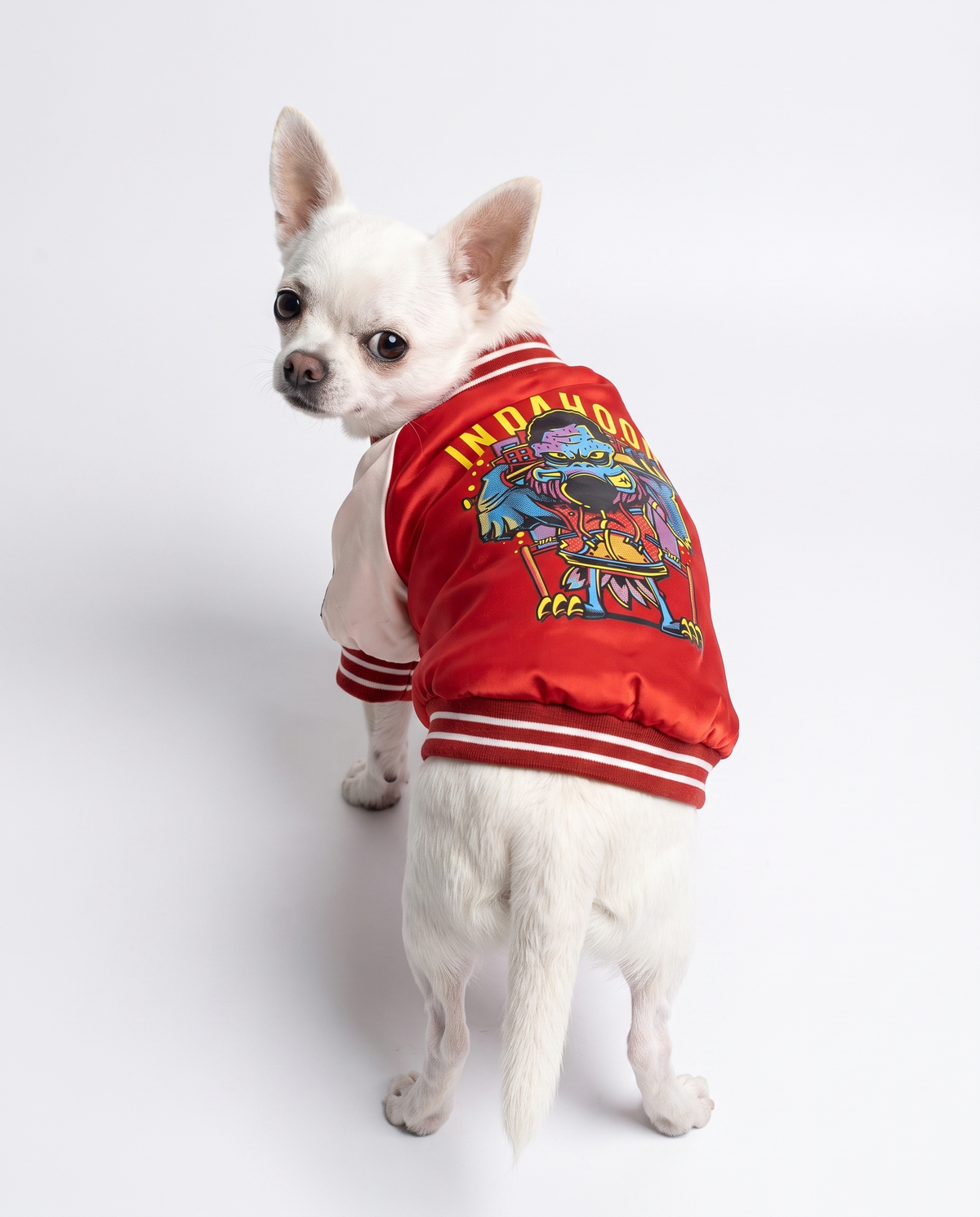 Shiny Cotton Dog Jacket