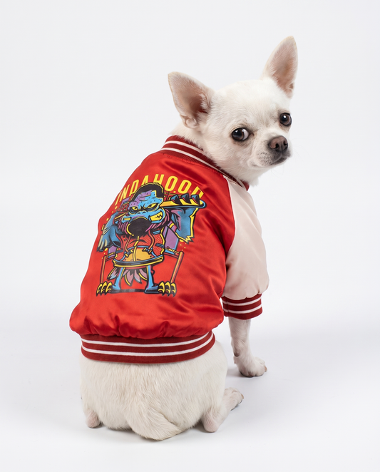 Shiny Cotton Dog Jacket