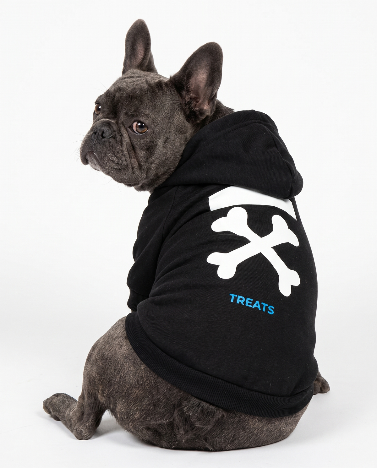 Dog Hoodie - Trendy Pet Sweater
