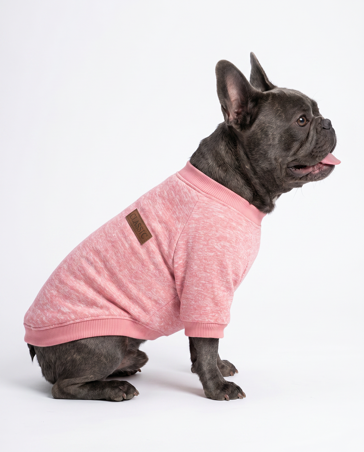 Dog Sweater