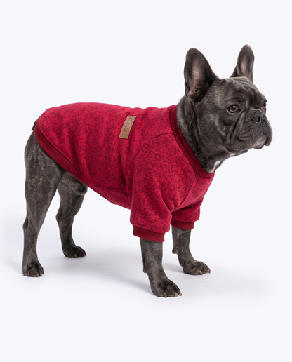 Dog Sweater