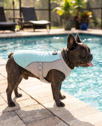 Cooling Summer Dog Vest