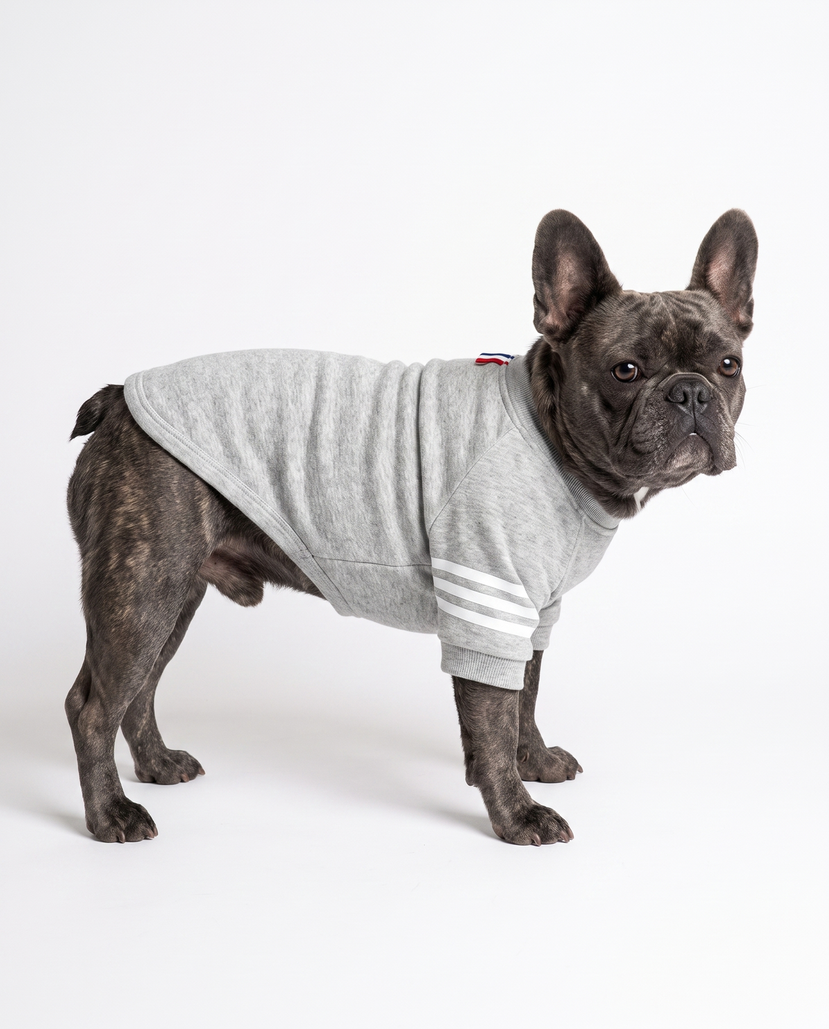 Classic Dog Sweater