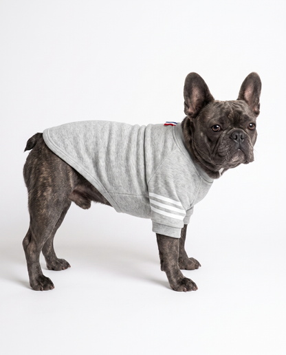 Classic Dog Sweater