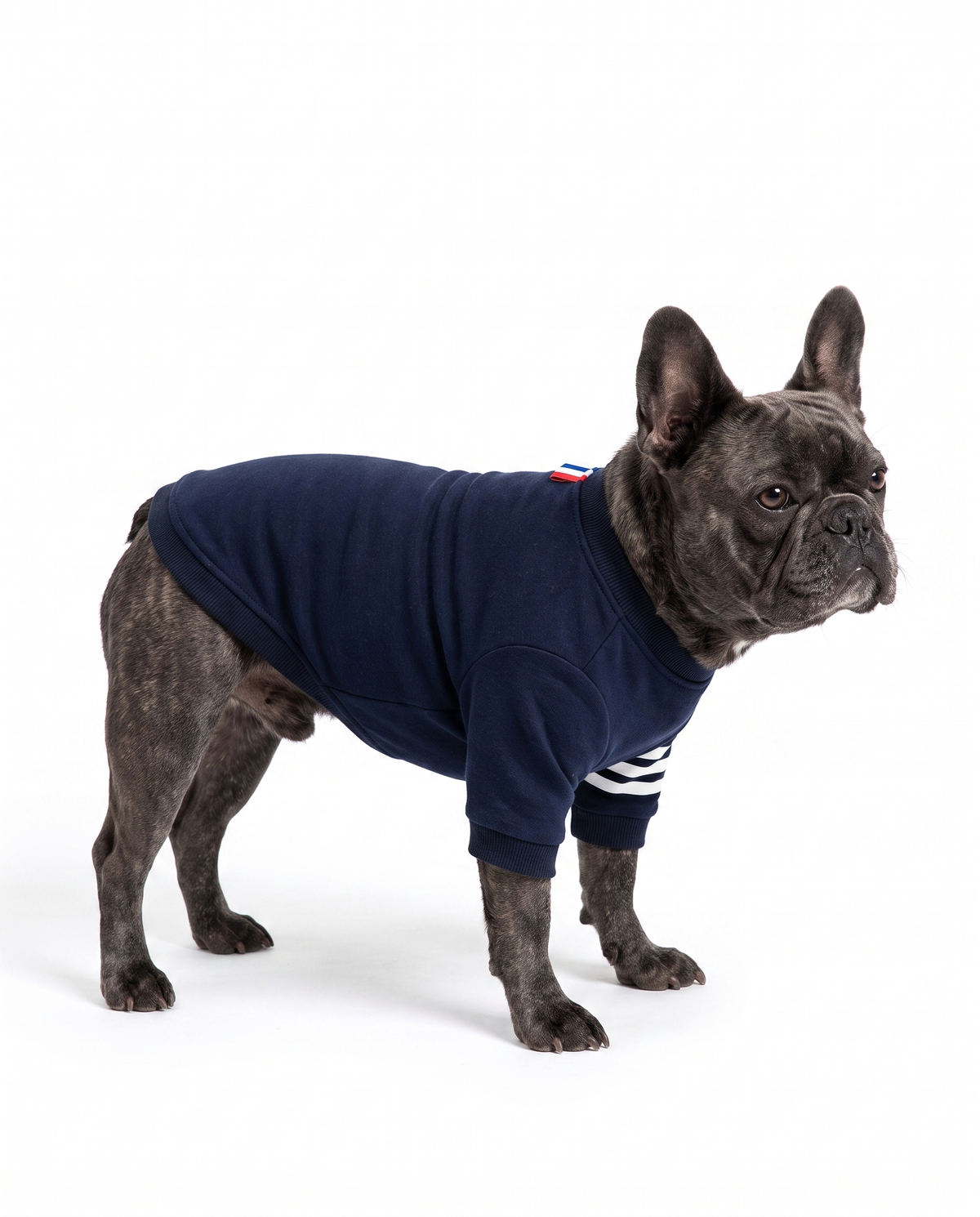 Classic Dog Sweater