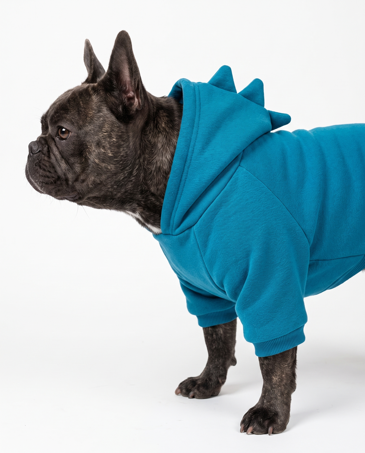 Dog Hoodie - Blue Shark Dog Sweater