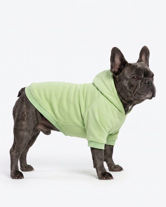 Dog Hoodie - Classic Cotton