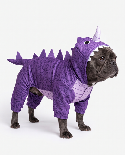 Halloween Dog Costume – Different Styles