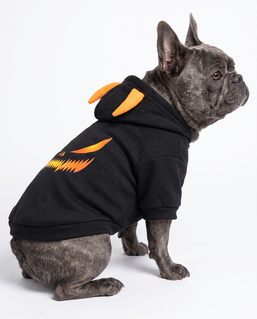 Halloween Dog Hoodie – Cozy Seasonal Pet Sweatshirt