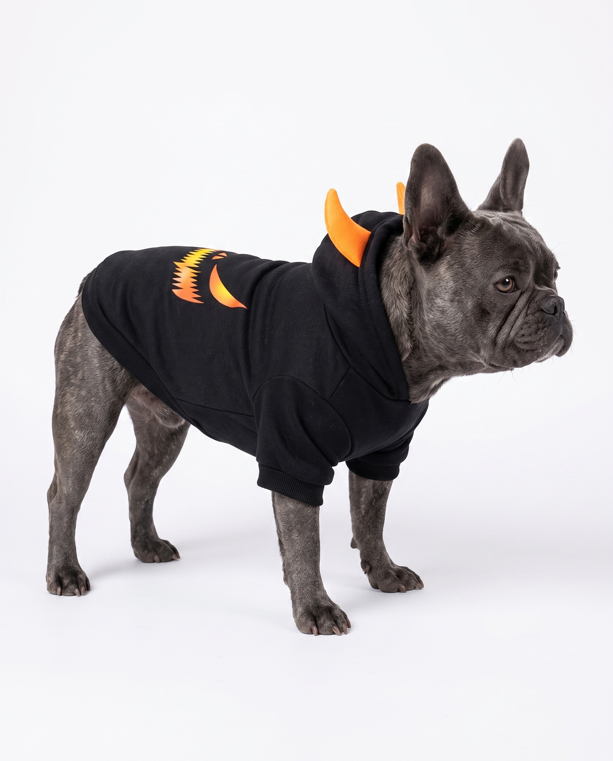 Halloween Dog Hoodie – Cozy Seasonal Pet Sweatshirt