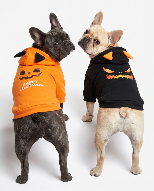 Halloween Dog Hoodie – Cozy Seasonal Pet Sweatshirt