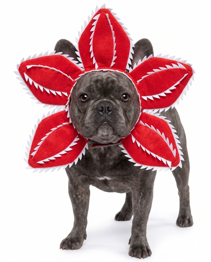 Halloween Dog Costume - Stranger Things Style