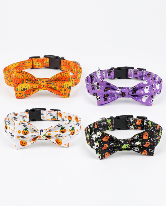 Halloween Dog Collar – Spooky Seasonal Collar